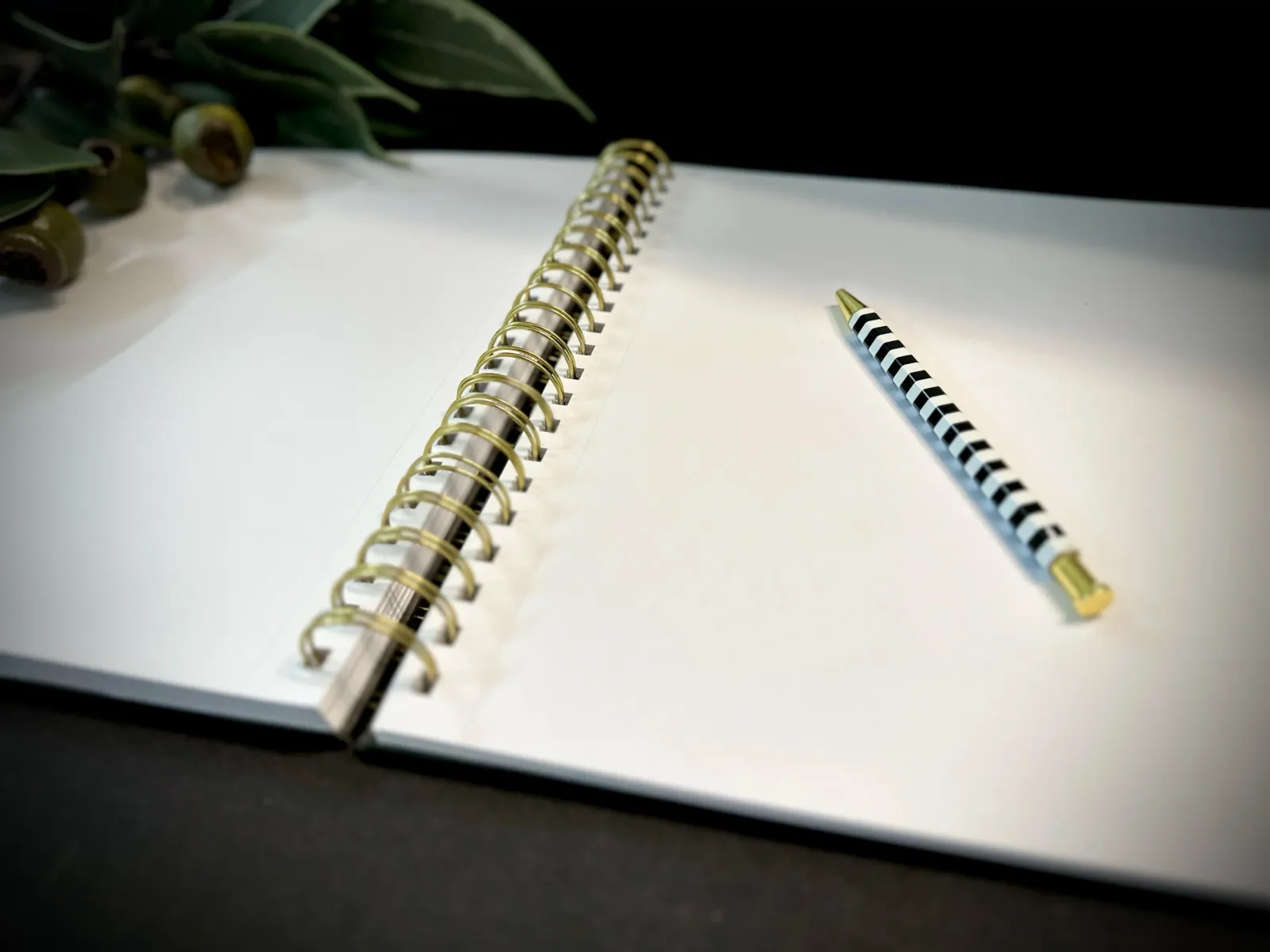 Your Personalized Plan